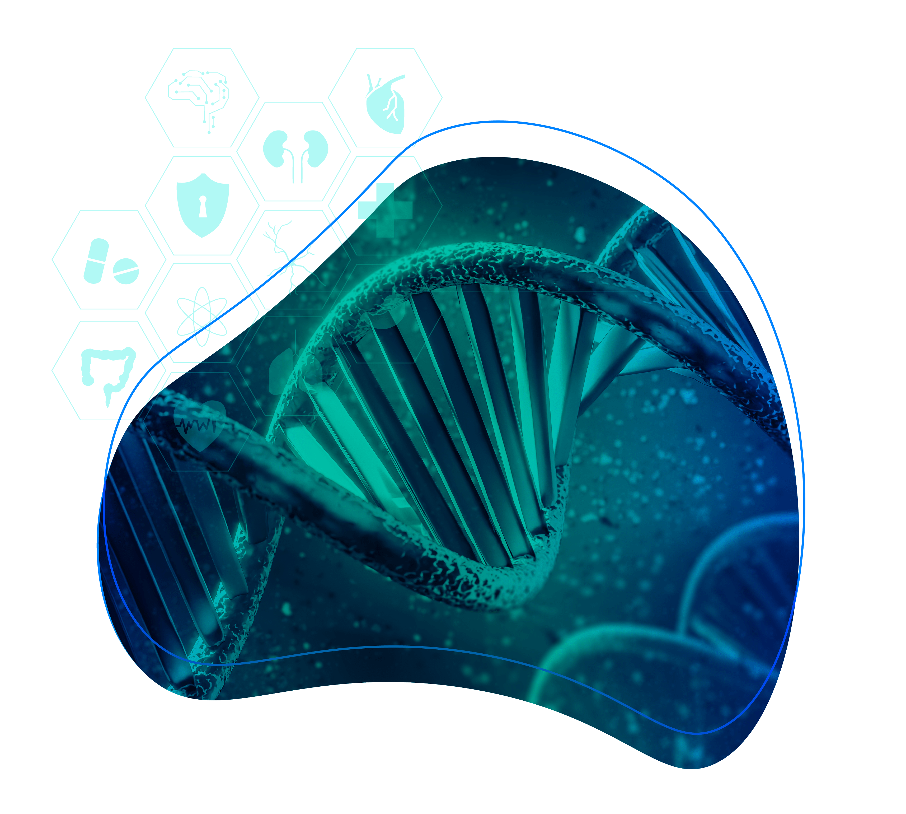 Bio&MedTech Programı DNA Görseli