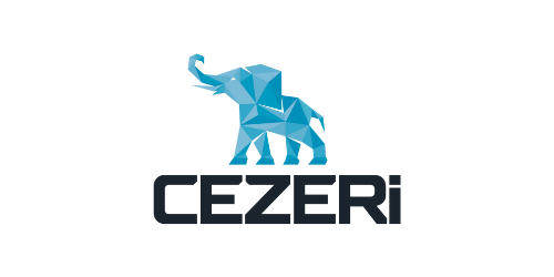 CEZERİ YAPAY ZEKA ROBOTİK TEKNOLOJİLERİ SANAYİ VE TİCARET ANONİM ŞİRKETİ